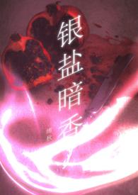 北京银盐映画国际文化传媒有限公司